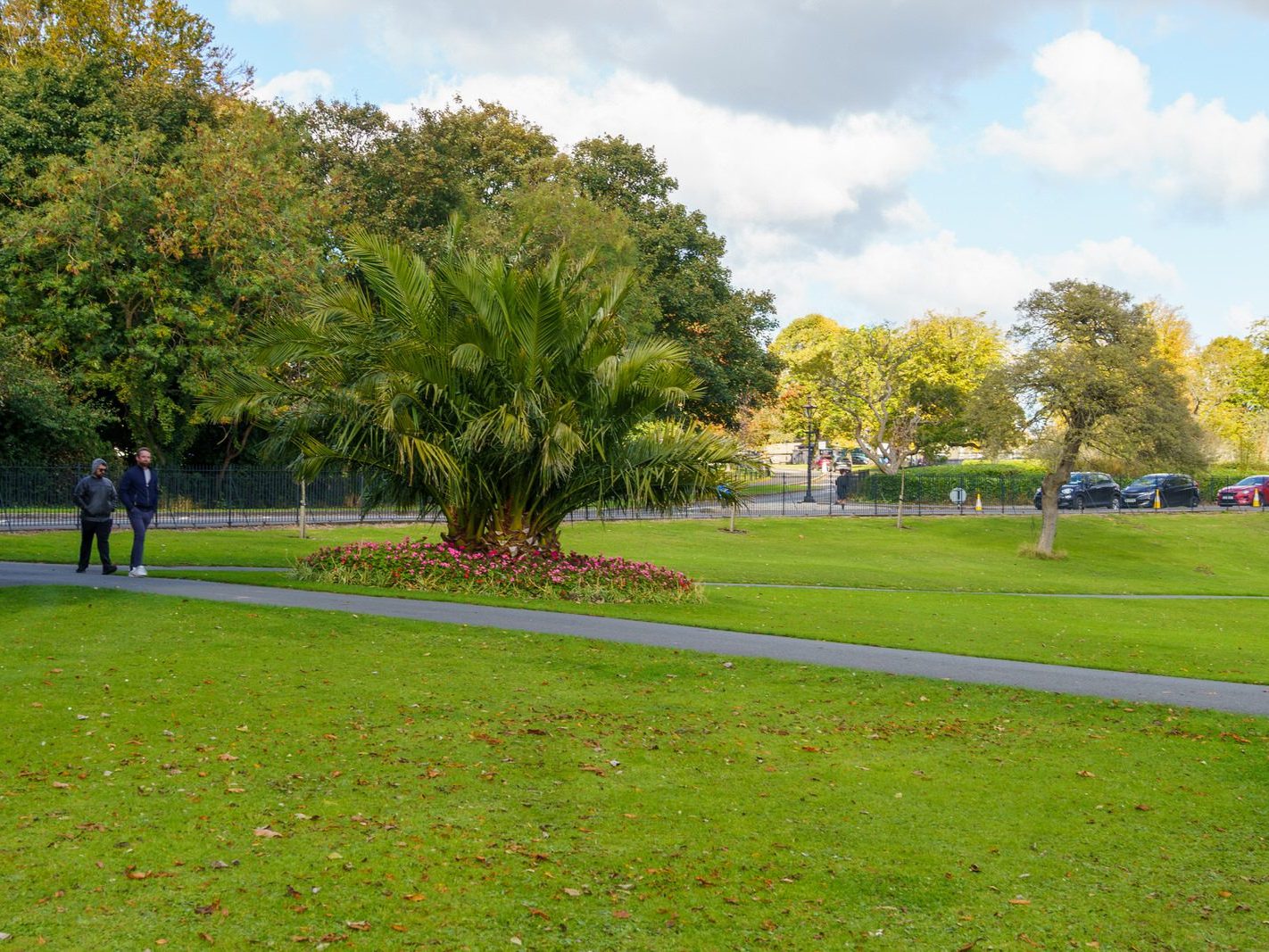 THE PEOPLES FLOWER GARDEN [THIS IS WITHIN PHOENIX PARK]--243524-1