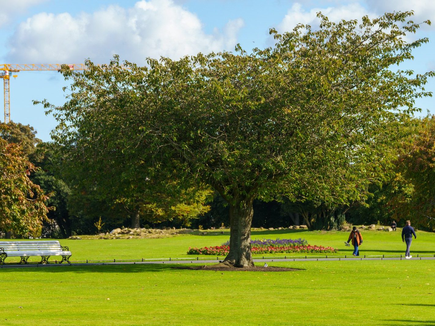 THE PEOPLES FLOWER GARDEN [THIS IS WITHIN PHOENIX PARK]--243526-1