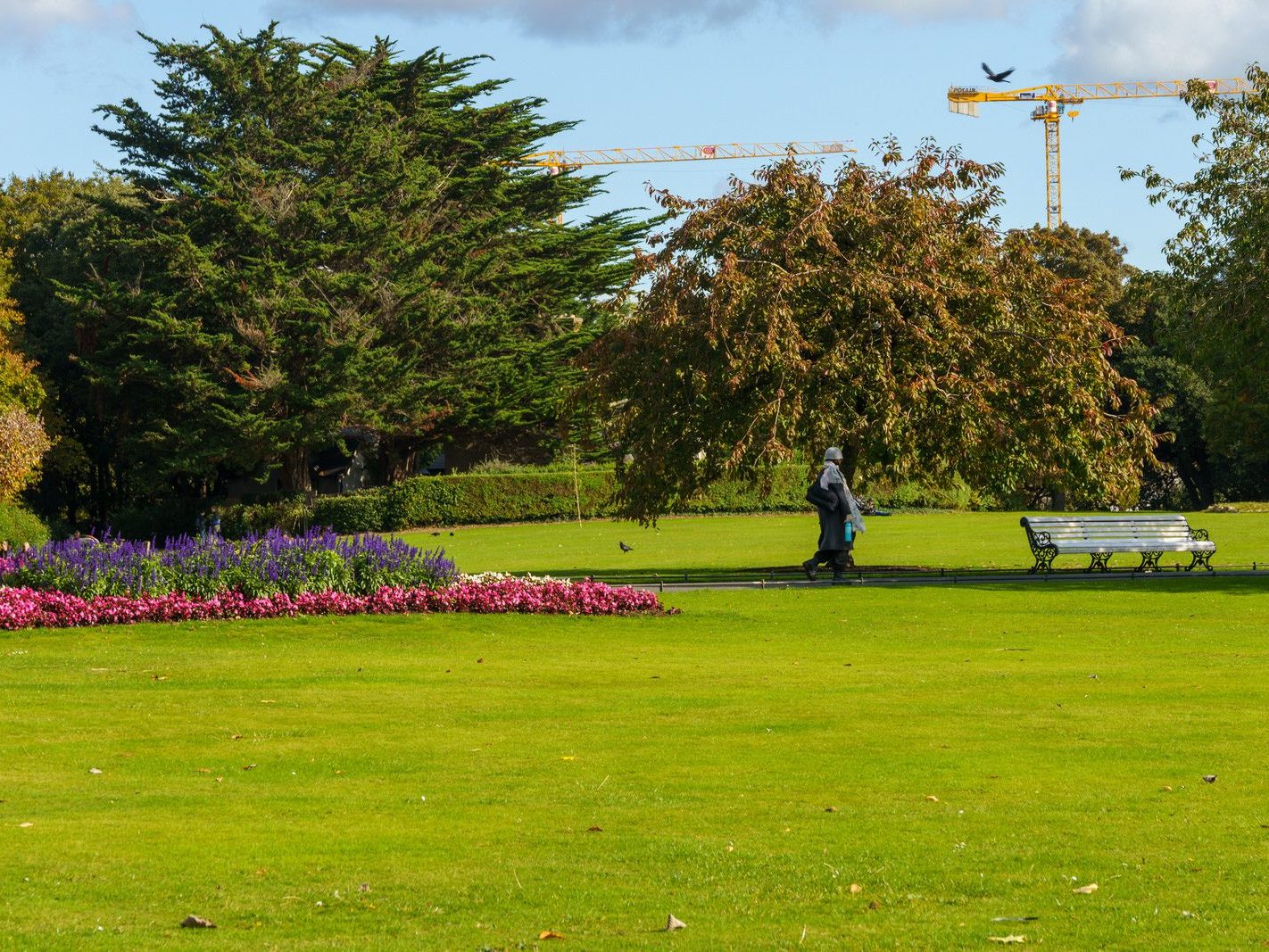 THE PEOPLES FLOWER GARDEN [THIS IS WITHIN PHOENIX PARK]--243527-1