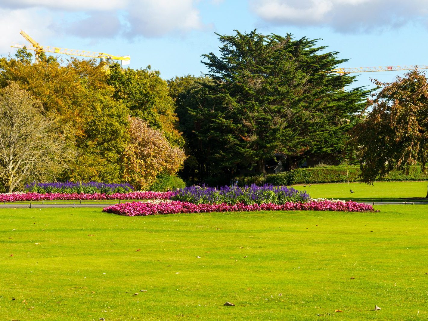 THE PEOPLES FLOWER GARDEN [THIS IS WITHIN PHOENIX PARK]--243528-1