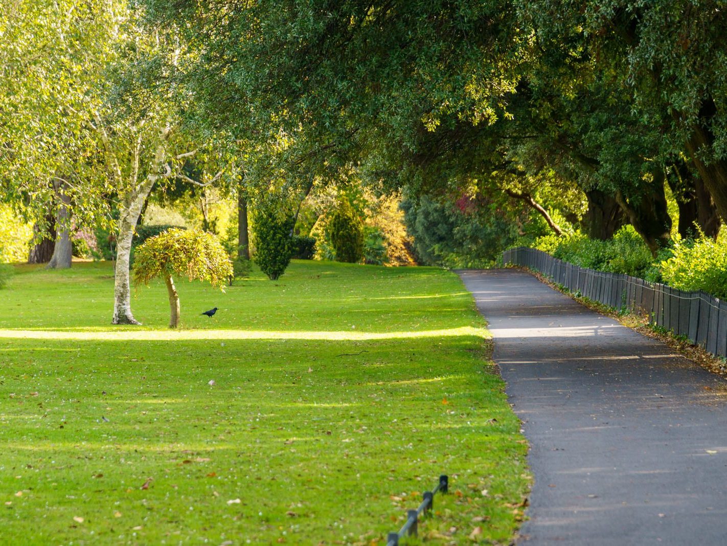 THE PEOPLES FLOWER GARDEN [THIS IS WITHIN PHOENIX PARK]--243531-1