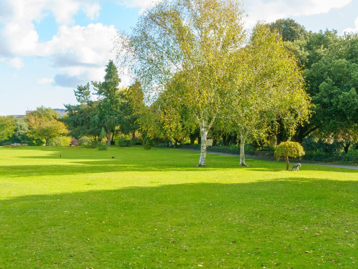 THE PEOPLES FLOWER GARDEN [THIS IS WITHIN PHOENIX PARK]--243539-1