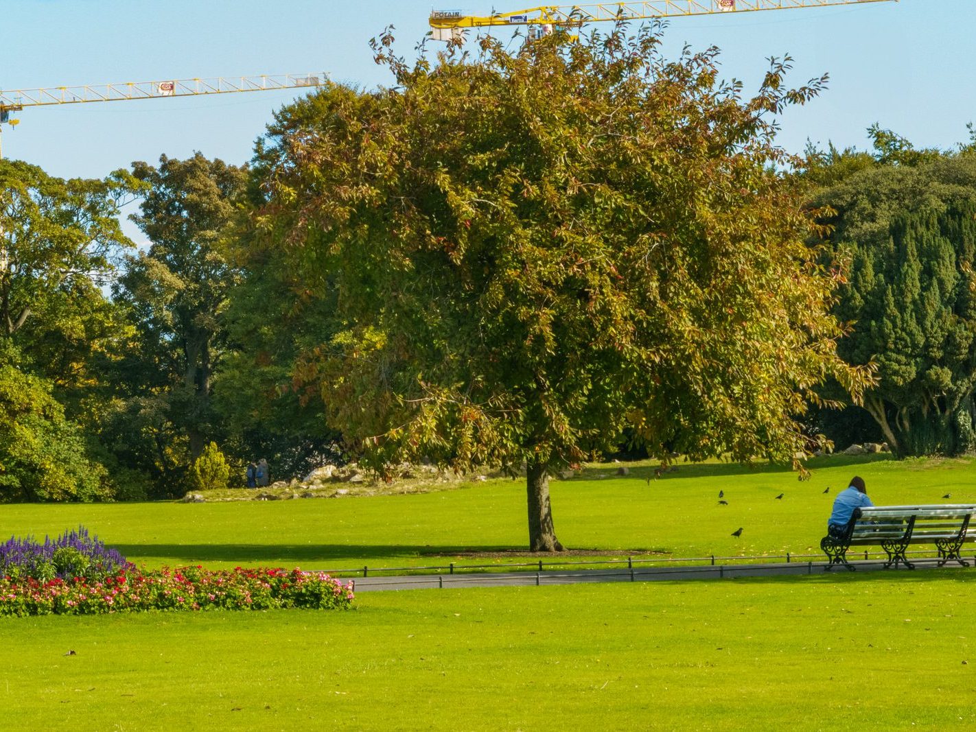 THE PEOPLES FLOWER GARDEN [THIS IS WITHIN PHOENIX PARK]--243541-1