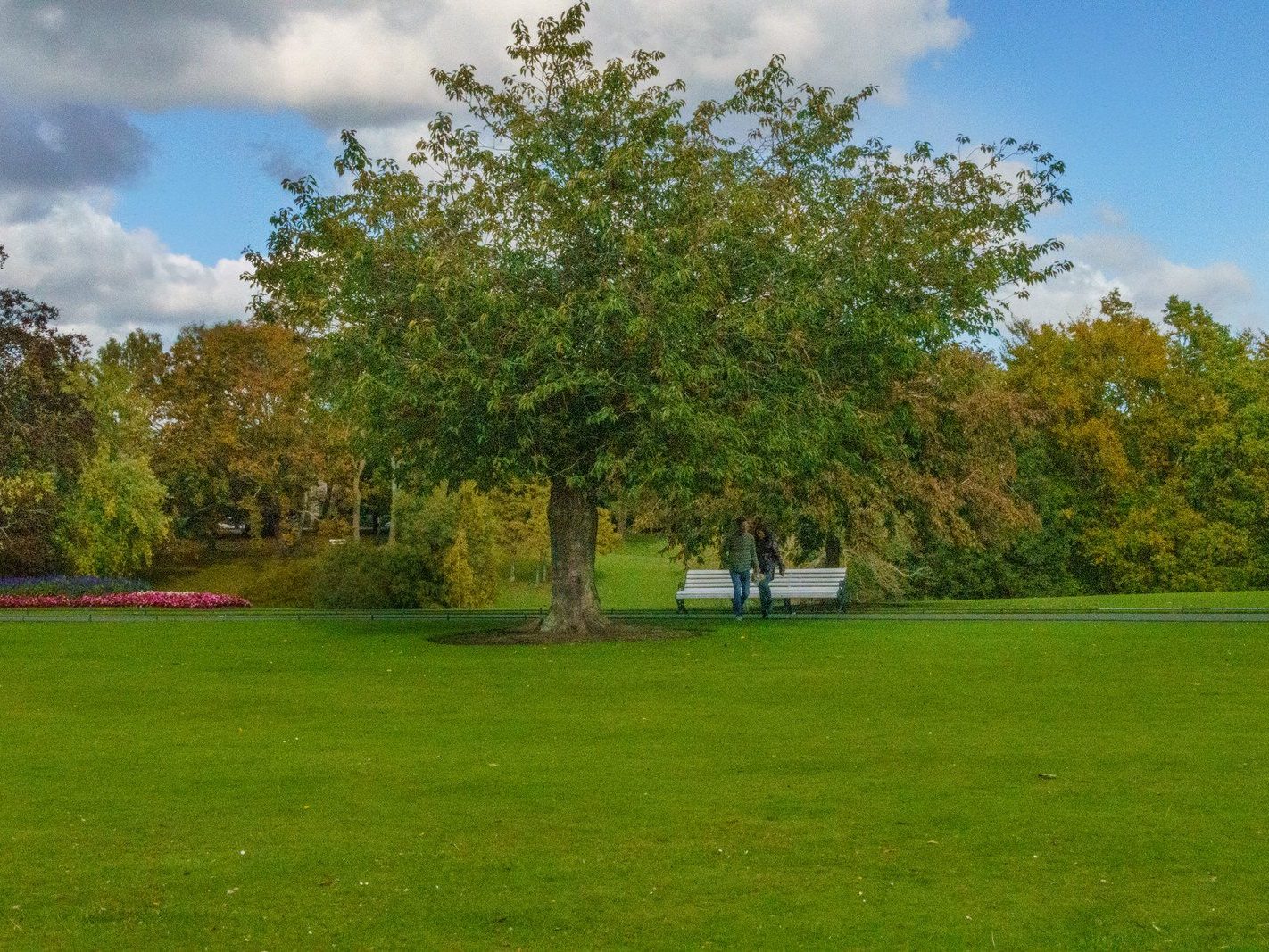 THE PEOPLES FLOWER GARDEN [THIS IS WITHIN PHOENIX PARK]--243542-1