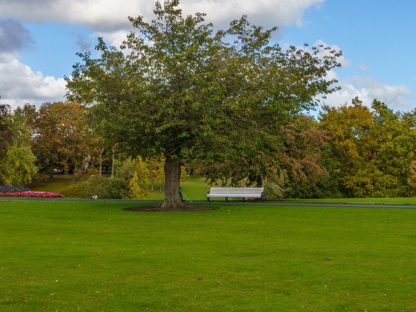 THE PEOPLES FLOWER GARDEN [THIS IS WITHIN PHOENIX PARK]--243545-1