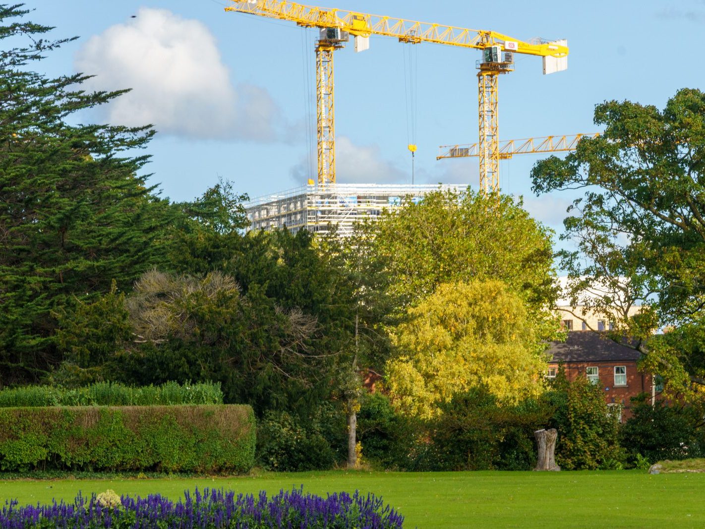 THE PEOPLES FLOWER GARDEN [THIS IS WITHIN PHOENIX PARK]--243547-1