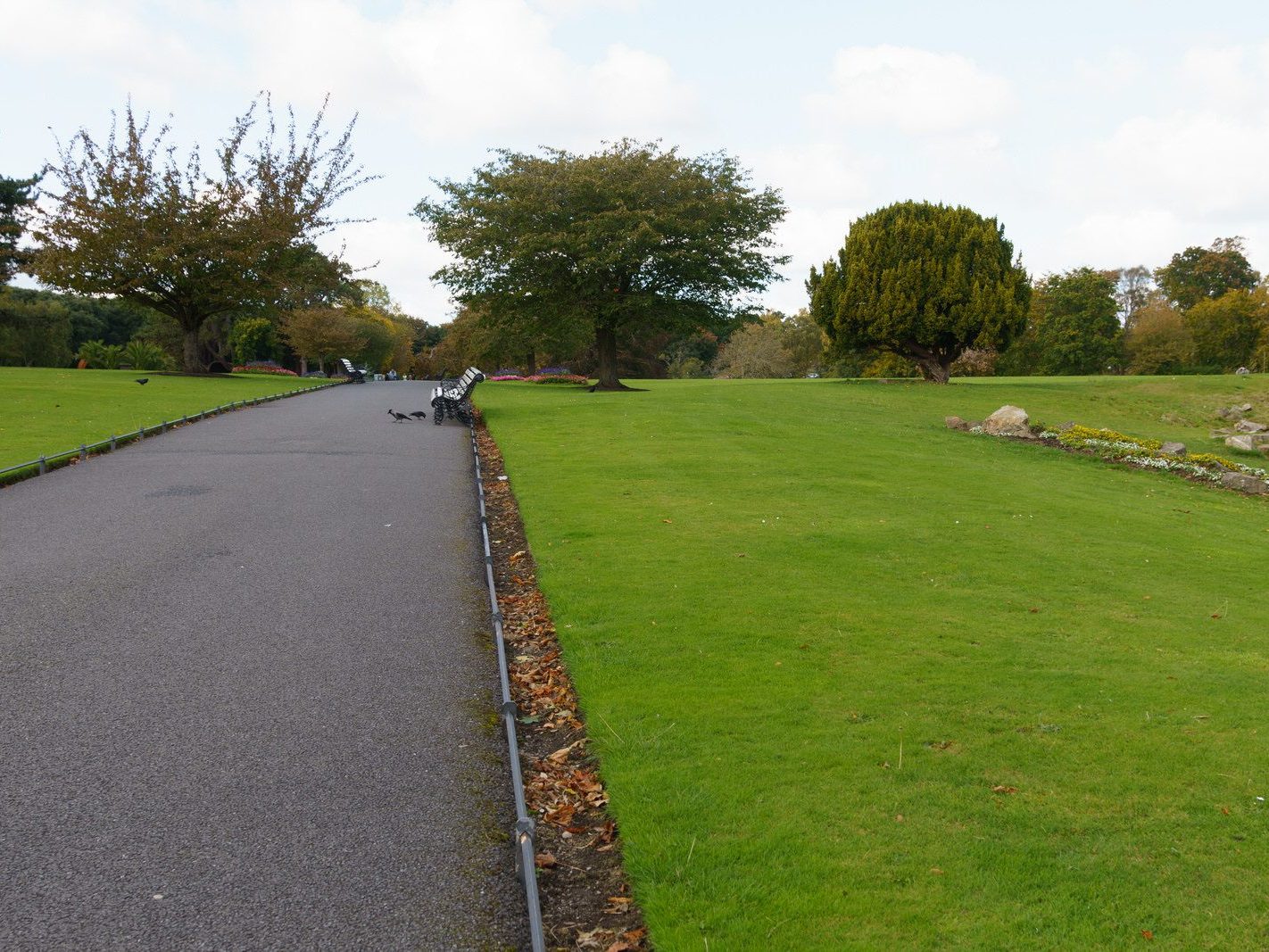 THE PEOPLES FLOWER GARDEN [THIS IS WITHIN PHOENIX PARK]--243564-1