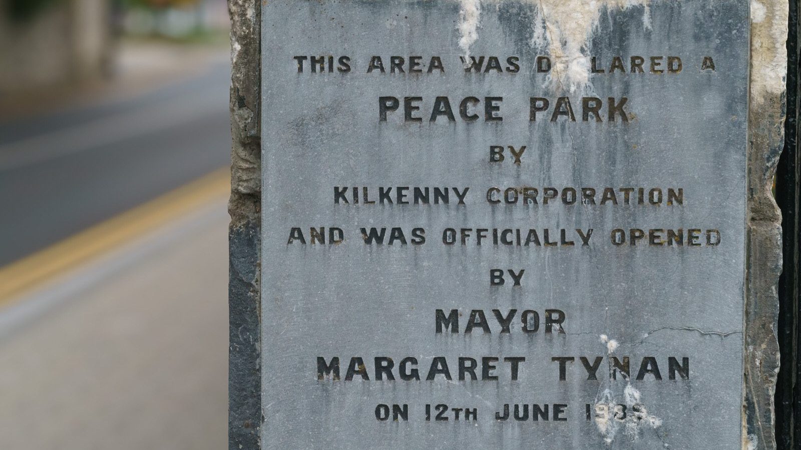 THE FIRST WORLD WAR MEMORIAL UNVEILED IN 2018 AT THE PEACE PARK IN KILKENNY [ALSO THE STORY OF 14 YEAR OLD THOMAS WOODGATE]-226802-1