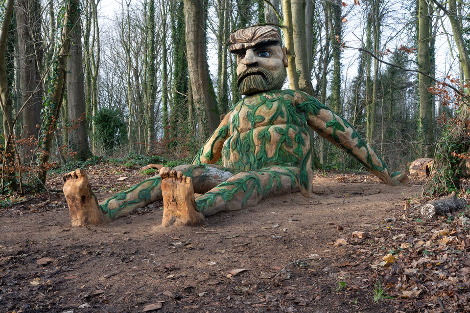 THE FOREST GIANT