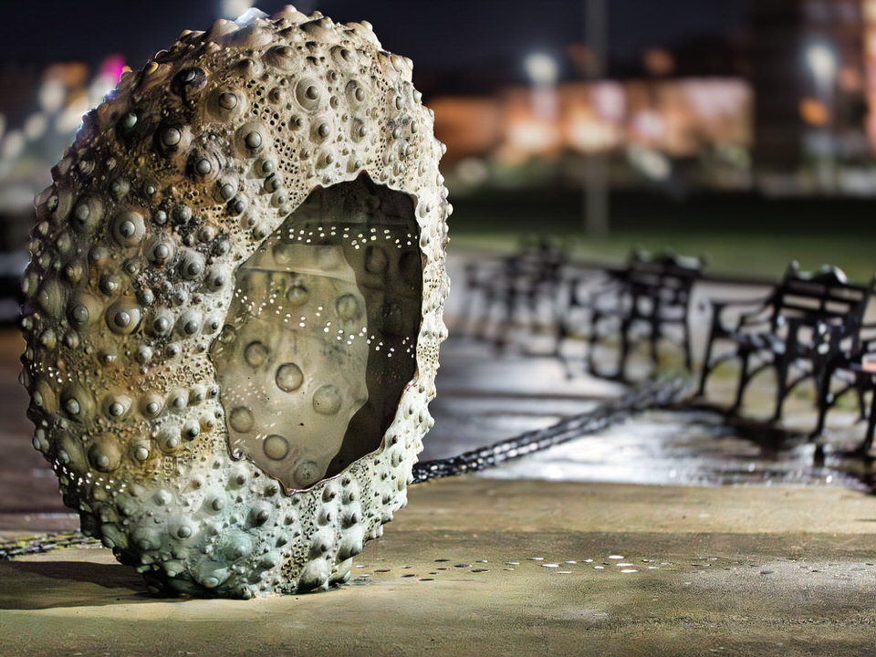 Mothership By Rachel Joynt