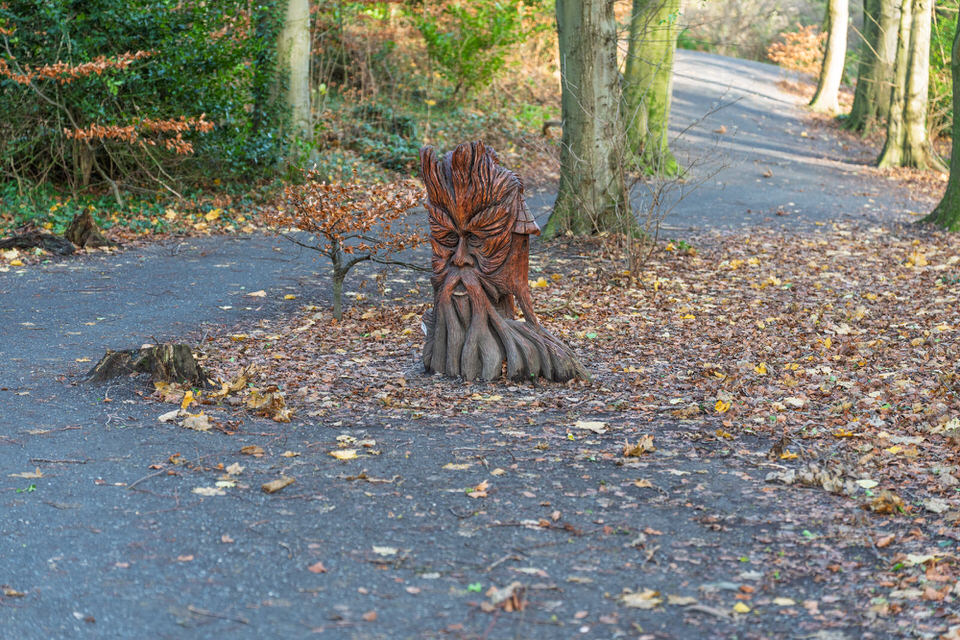Owl And Fairy House Sculpture