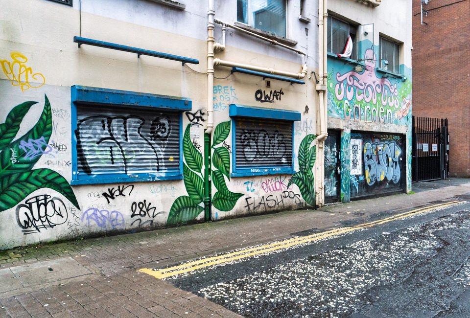 The Octopus's Garden In Belfast