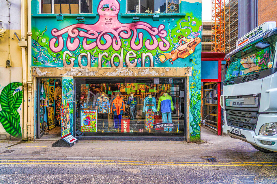  The Octopus's Garden In Belfast 