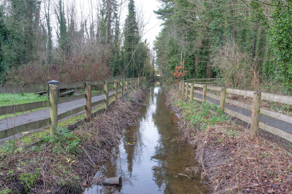 The Woodland Trail At Stormont Estate