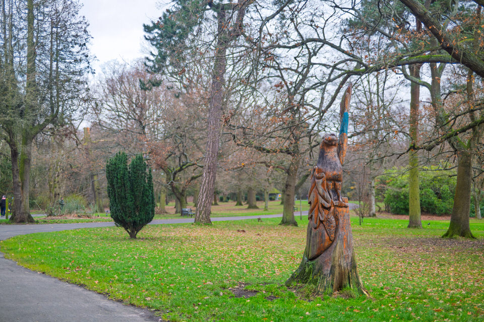 CHAINSAW ART IN THE PARK