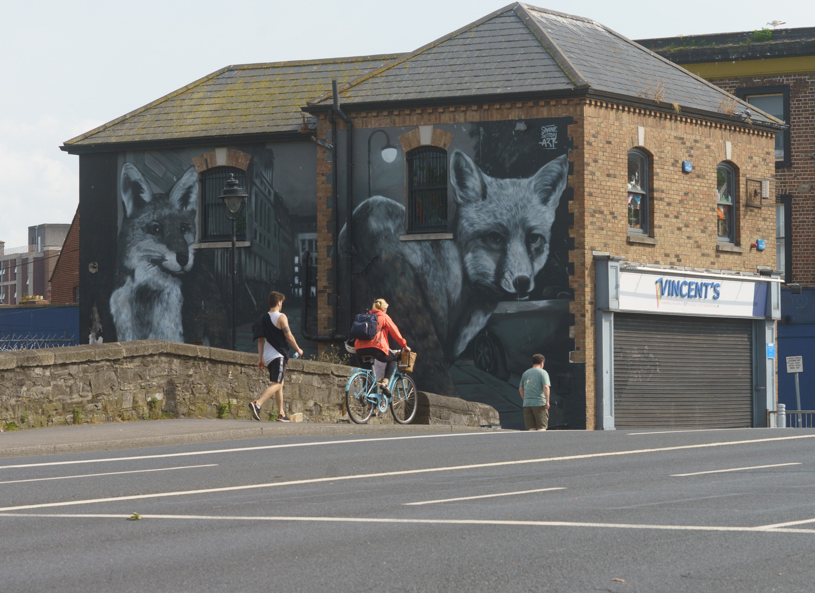 CITY FOXES BY SHANE SUTTON 