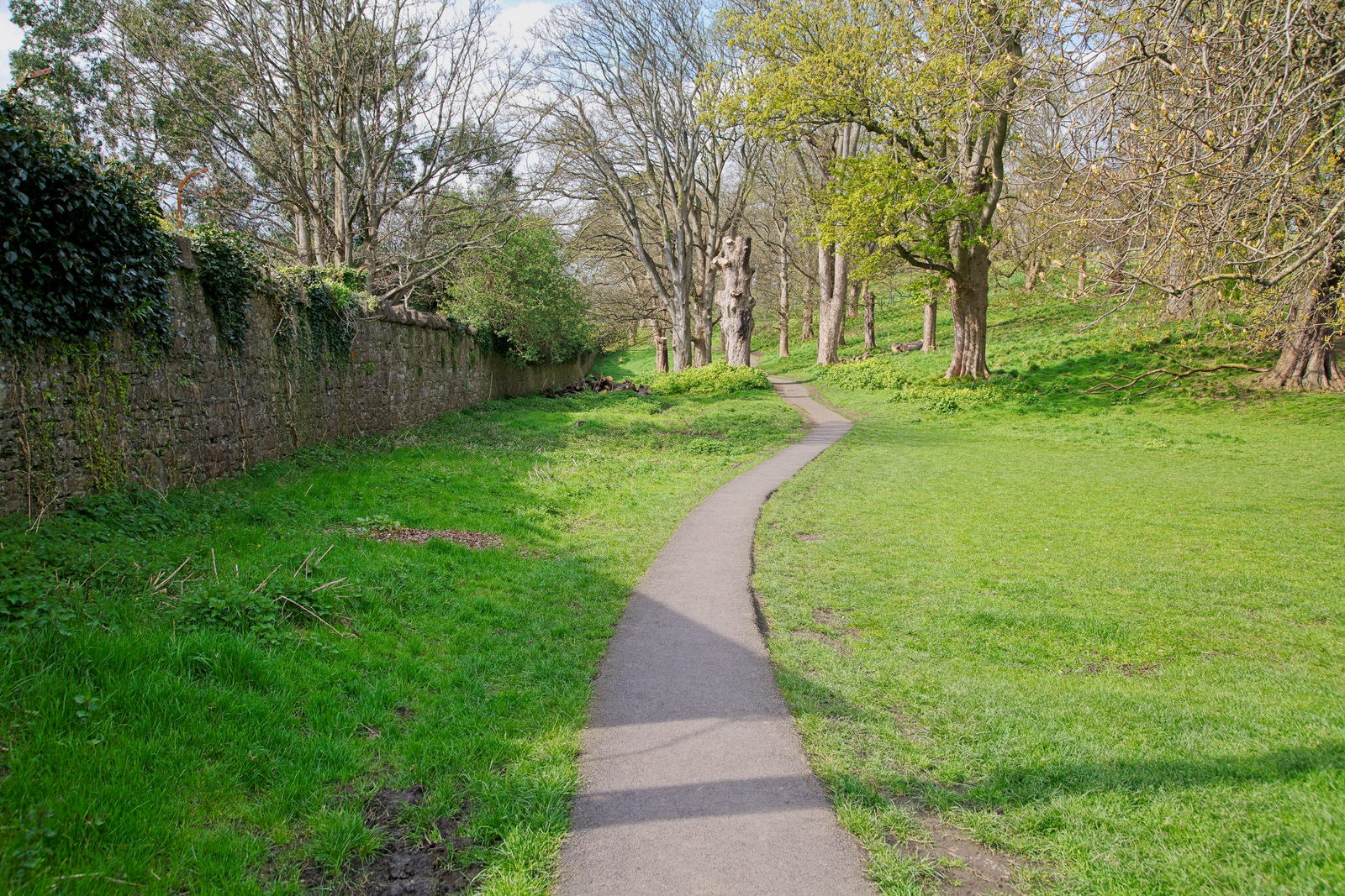 Lower Glen Road