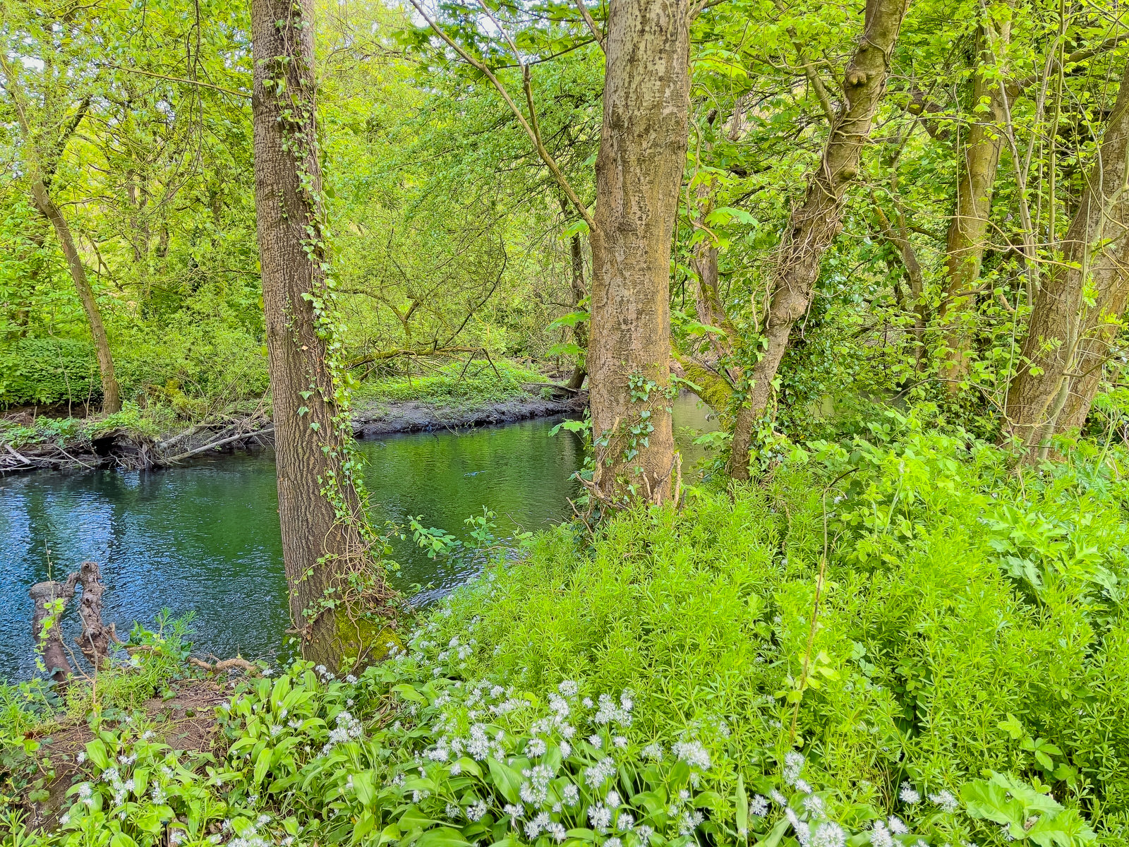 PALMERSTOWN AND THE RIVER