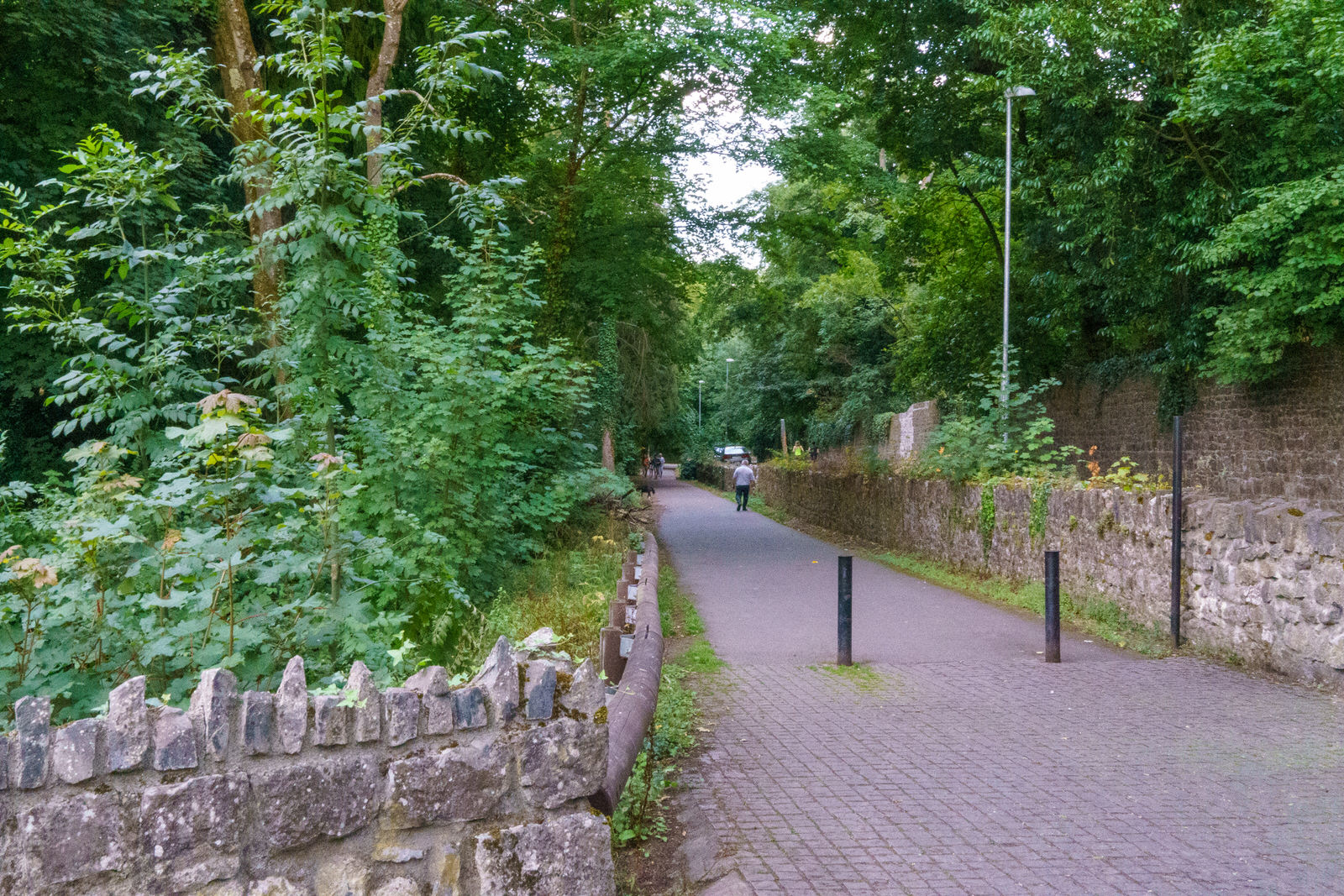THIS WALK WAS IMPROVED IN 1861 [AND MAYOR THOMAS POWER PROVIDED MUCH OF THE FINANCE]-227014-1