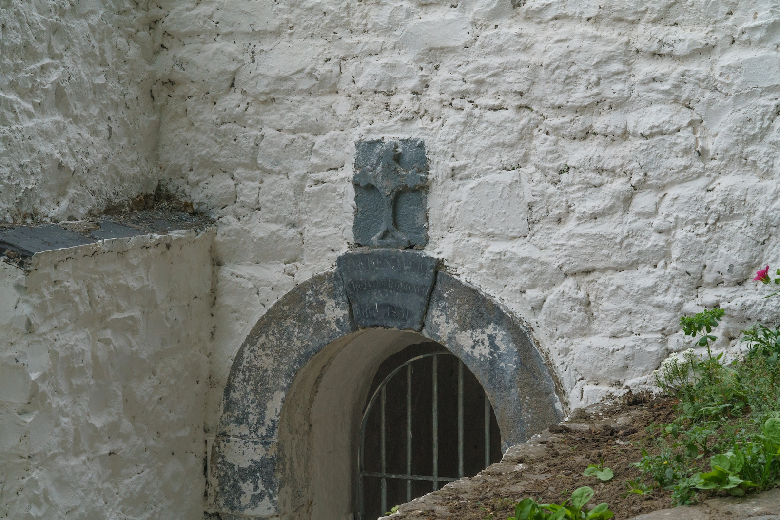 my-search-for-holy-wells-in-kilkenny-has-not-gone-well-[this-is-lacken-well-and-it-is-at-least-two-hundred-years-old]-227102-001