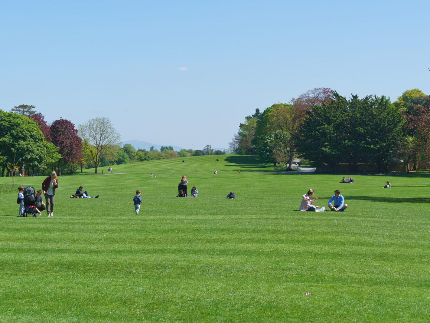 THE KILKENNY CASTLE ESTATE [THERE IS NO REAL NEED TO PAY TO EXPLORE THE CASTLE]-245304-1