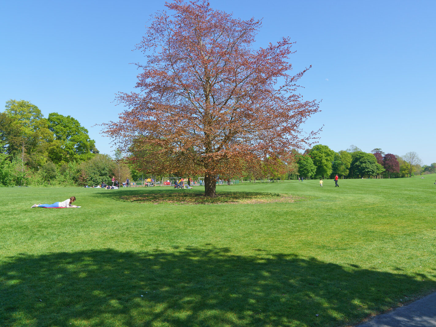 THE KILKENNY CASTLE ESTATE [THERE IS NO REAL NEED TO PAY TO EXPLORE THE CASTLE]-245305-1