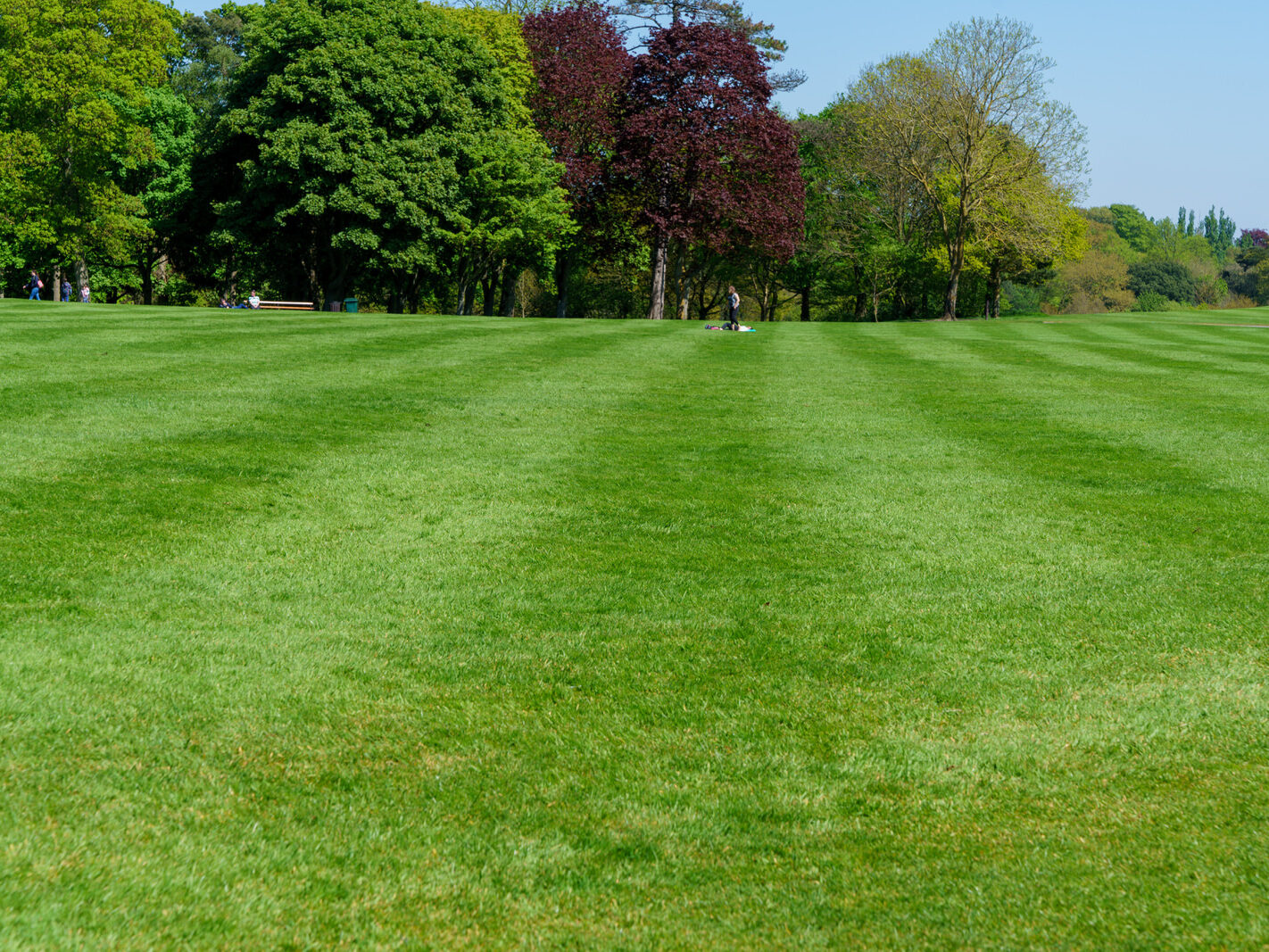 THE KILKENNY CASTLE ESTATE [THERE IS NO REAL NEED TO PAY TO EXPLORE THE CASTLE]-245307-1