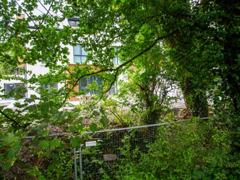 GALLOWS HILL Given the townland's ominous name, Gallows Hill, and the presence of a large tree bearing the same name, it's possible...