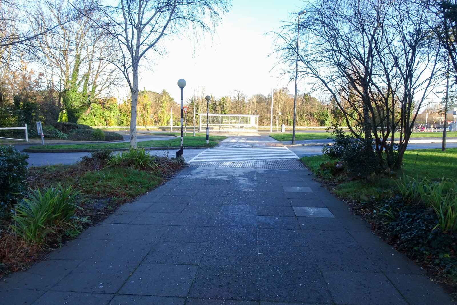 UCD Campus