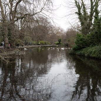 STEPHENS GREEN WAS WATERLOGGED This situation in St Stephen's Green is a stark reminder of the profound impact of extreme weather events on our urban...
