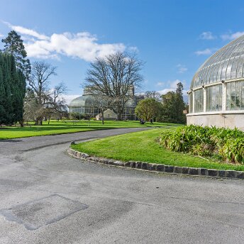 GLASSHOUSES AT THE BOTANIC GARDENS Explore the historic glasshouses of the National Botanic Gardens in Glasnevin, Dublin. Discover the architectural beauty...