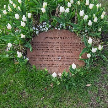 FLOWER GARDENS Explore the history and horticultural beauty of the People’s Flower Gardens in Phoenix Park. From its 1864 Victorian...
