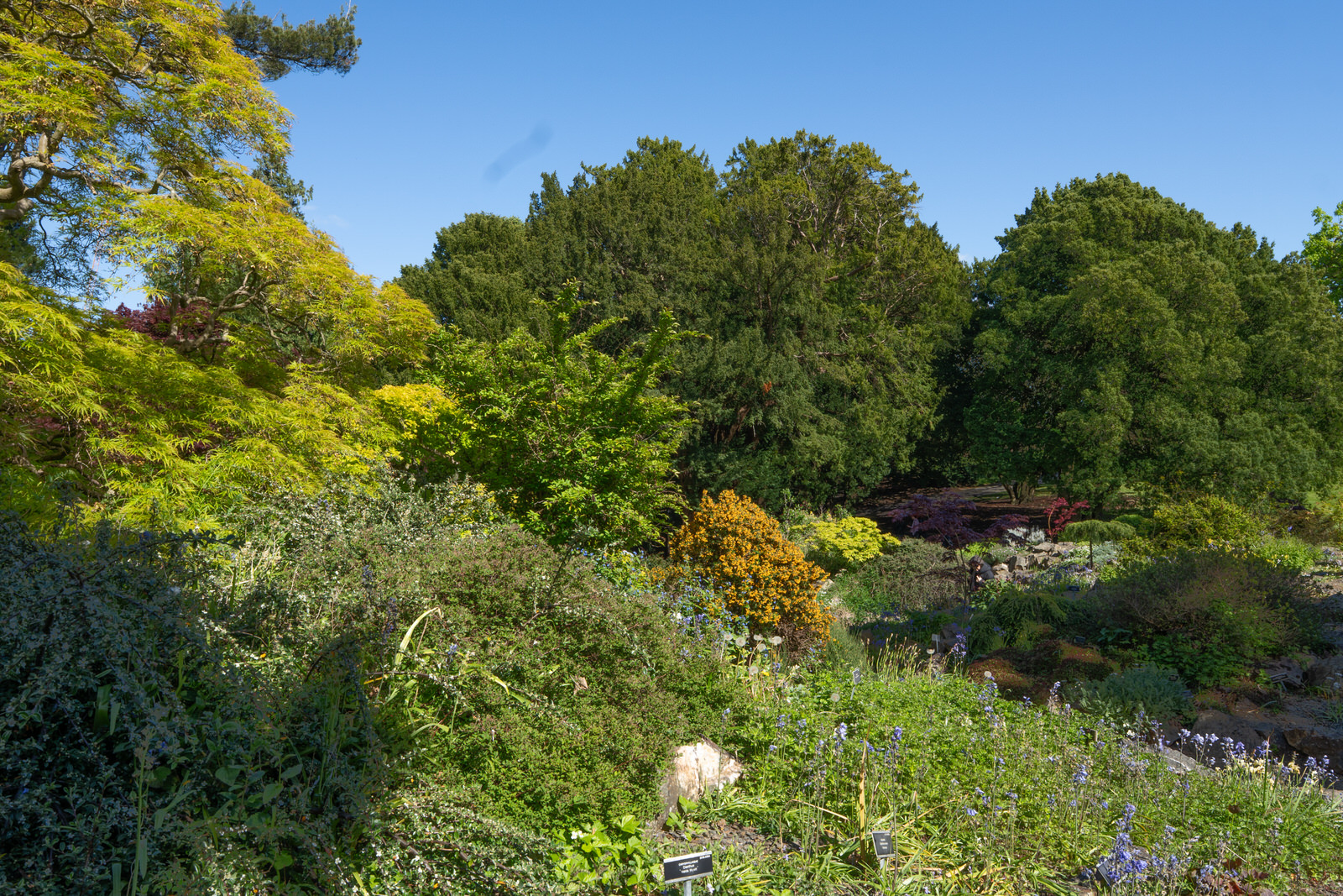 THE ROCKERY
