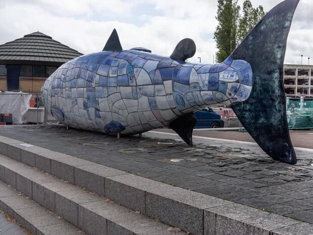THE BIG FISH