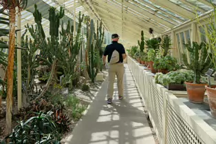 THE GLASSHOUSES IN THE BOTANIC GARDENS IN DUBLIN [3 MAY 2025]-250327-1