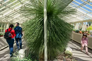THE GLASSHOUSES IN THE BOTANIC GARDENS IN DUBLIN [3 MAY 2025]-250331-1
