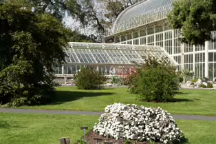 I JUST DISCOVERED THAT I AN NOT AT ALL GOOD AT PHOTOGRAPHING FLOWERS [BOTANIC GARDENS]-250461-1