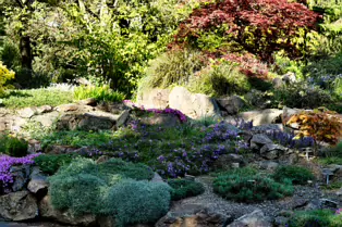 I JUST DISCOVERED THAT I AN NOT AT ALL GOOD AT PHOTOGRAPHING FLOWERS [BOTANIC GARDENS]-250463-1