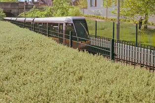 RIALTO TRAM STOP AT GLENMALURE VILLAS - JAMES'S WALK [WEDNESDAY 14 MAY 2025]-251217-1