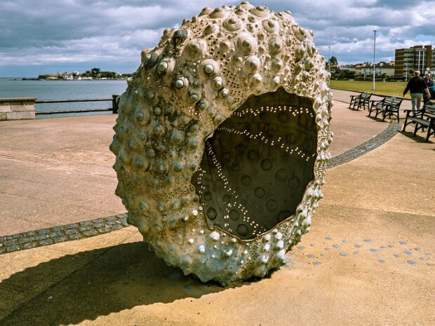 THE JOYNTS Discover the fascinating multi-generational artistic dialogue on the Dublin coast between sculptors Dick and Rachel...