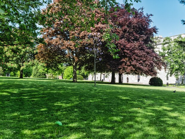KINGS INNS PARK hile the Honorable Society of King's Inns is renowned as Ireland's oldest legal institution, its grounds offer a...