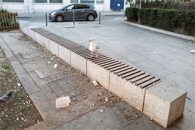A DIARY UPDATE AND RANDOM IMAGES OF DUBLIN CITY CENTRE [SUNDAY 24 MAY 2026]-268203.jpg