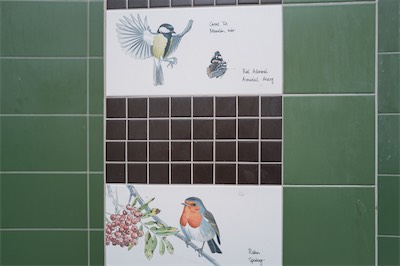 A DIARY UPDATE AND RANDOM IMAGES OF DUBLIN CITY CENTRE [SUNDAY 24 MAY 2026]-268209.jpg