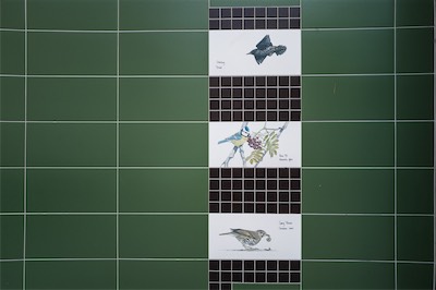 A DIARY UPDATE AND RANDOM IMAGES OF DUBLIN CITY CENTRE [SUNDAY 24 MAY 2026]-268210.jpg