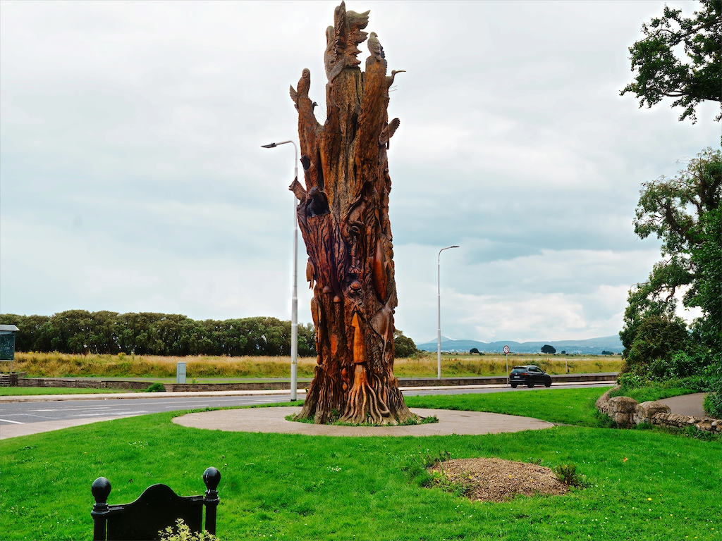 TREE CARVING AT WATERMILL ROAD IN RAHENY[TREE OF LIFE BY TOMMY CRAGGS] 003