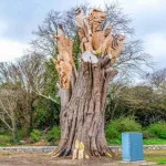 TREE CARVING BY TOMMY CRAGGS [PHOTOGRAPHED APRIL 2016] 001