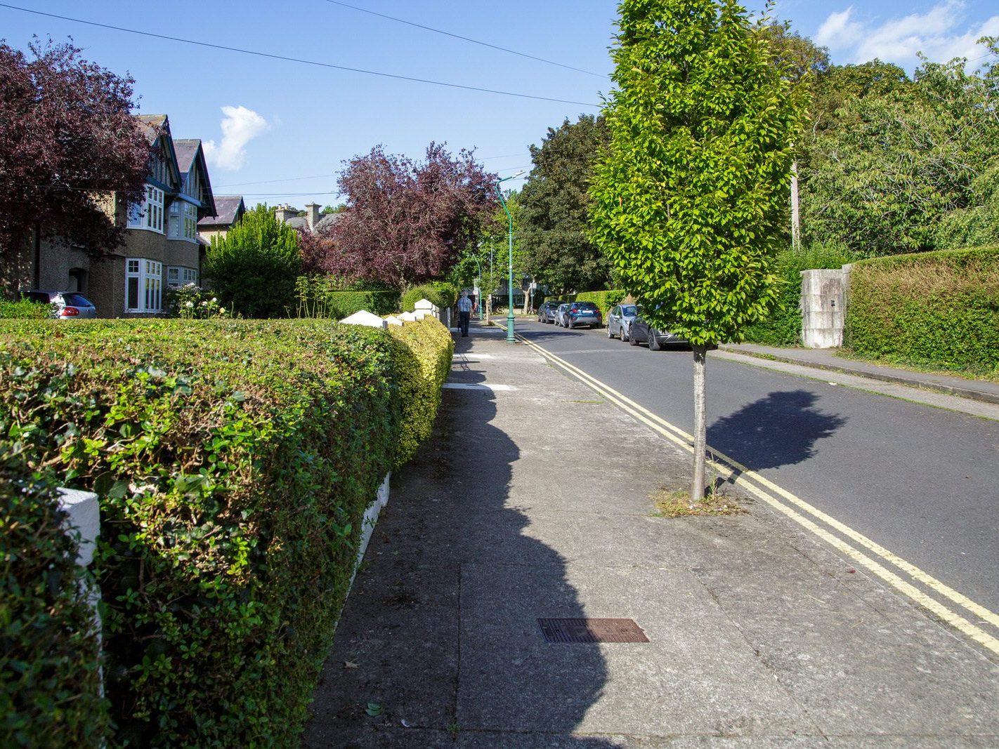 VALENTIA ROAD [A SHORT ROAD CONNECTING HOME FARM ROAD AND GRIFFITH AVENUE] 007