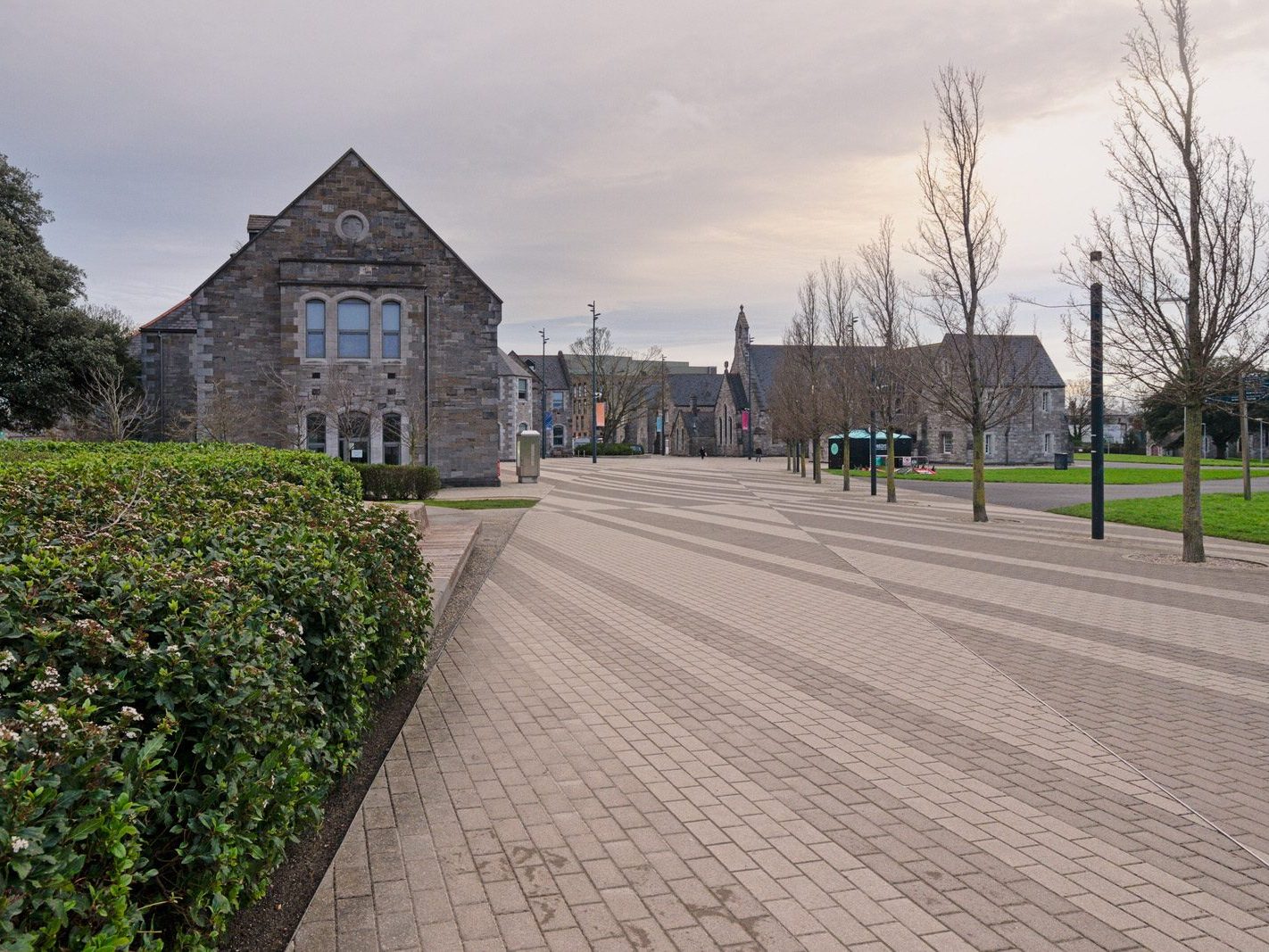 I VISITED THE GRANGEGORMAN UNIVERSITY CAMPUS [THERE WAS NO SIGN OF CHRISTMAS CELEBRATIONS THERE]-226054-1