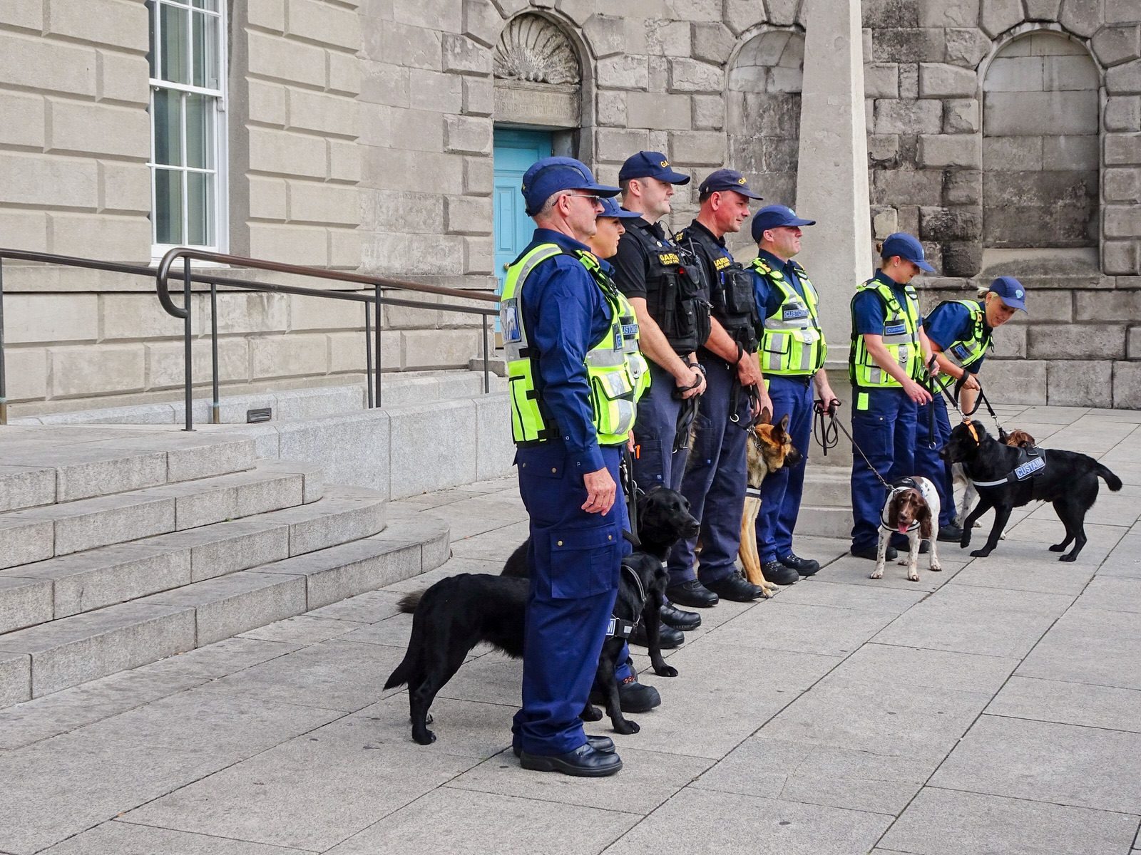 THE DOGS WHO WORK FOR THE IRISH CUSTOMS SERVICE [INVITED THE PRESS TO A PHOTO-SHOOT]-225736-1