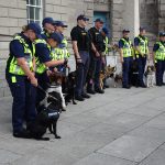 THE DOGS WHO WORK FOR THE IRISH CUSTOMS SERVICE [INVITED THE PRESS TO A PHOTO-SHOOT]-225740-1
